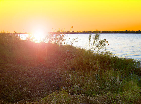 chobe river