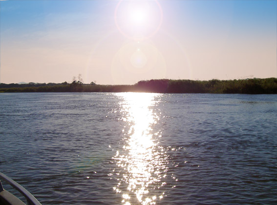 okavango river