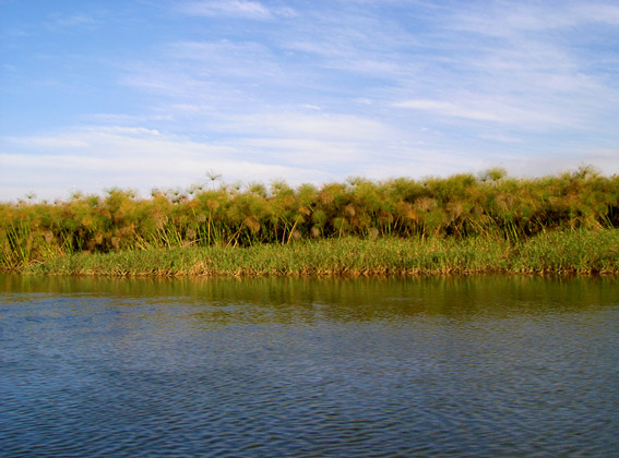 okavango delta