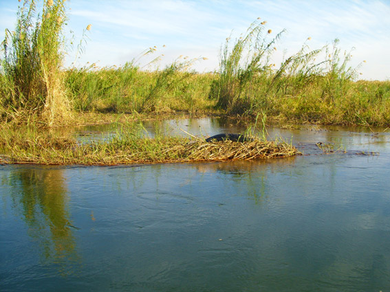 okavango