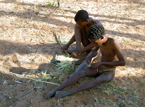 bushman of namibia