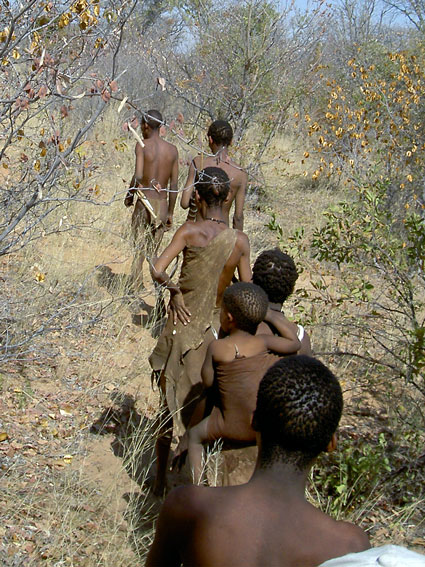 Bushmen Pictures Of Namibia