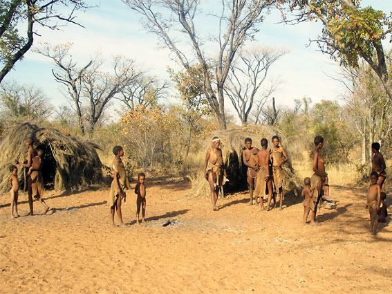 Traditional Bushmen village