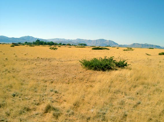 Naukluft Mountains