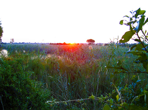 caprivi strip