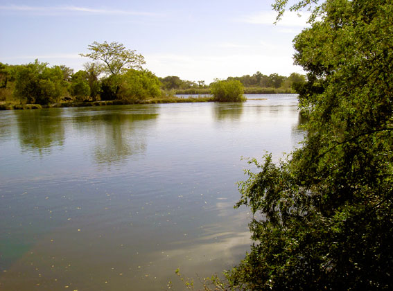 Okavango river