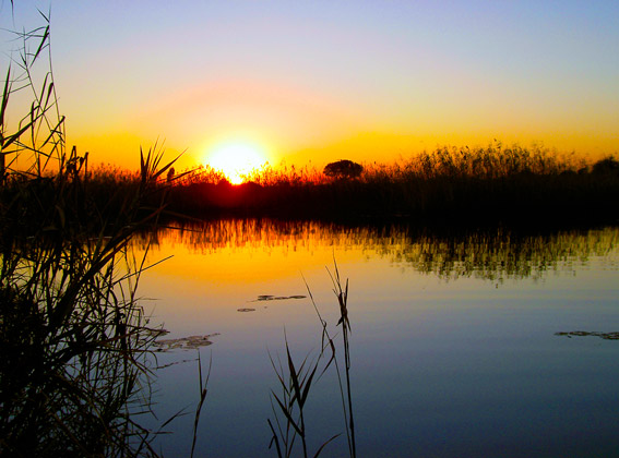 Rivière Okavango