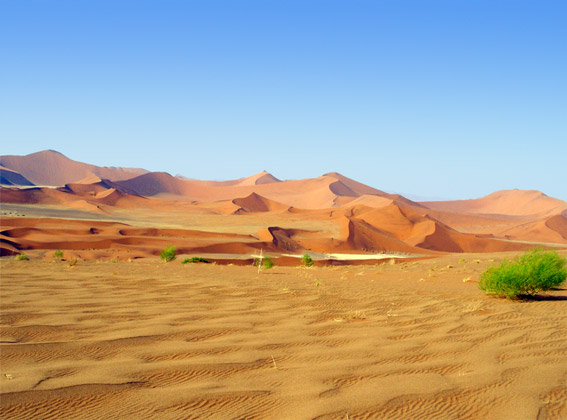 dunes of the Namib Desert 