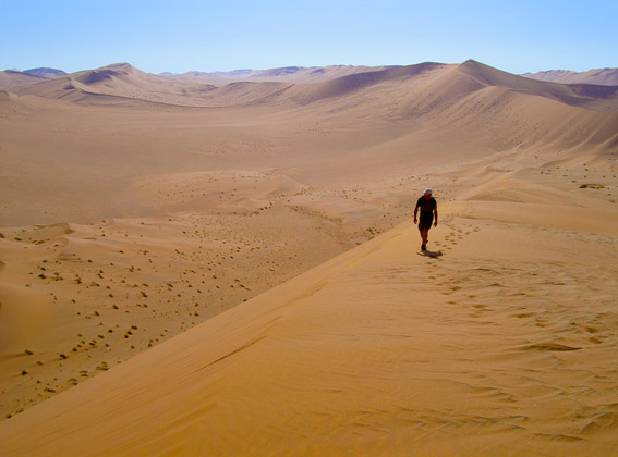 desert's namibian