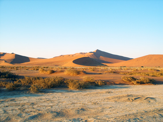 big daddy dune of Sossusvlei