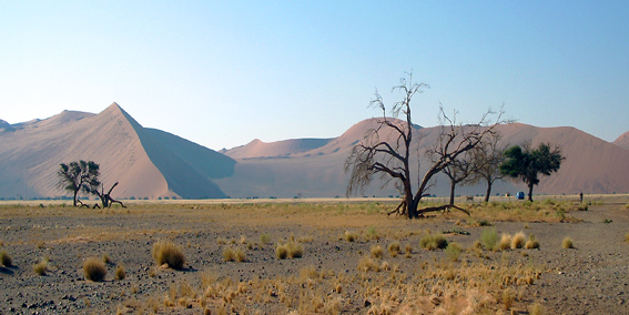 Dune Namib