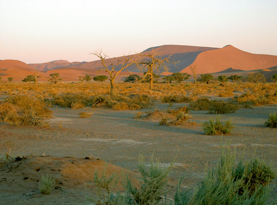 Sossusvlei