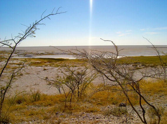 etosha pan