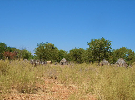 Himba village in Kaokoland