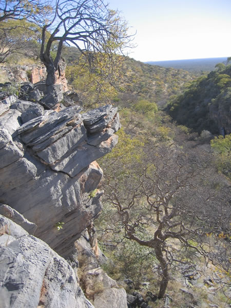 mundulea nature reserve