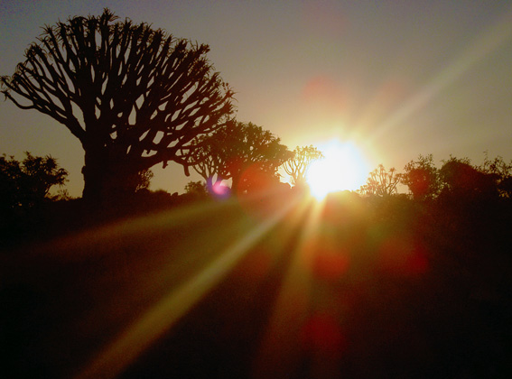 African Sunset