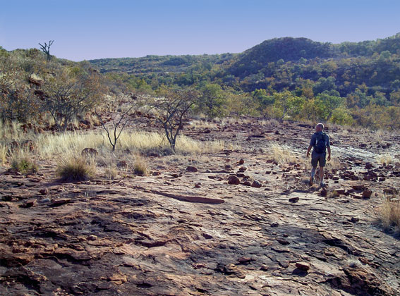 waterberg national park