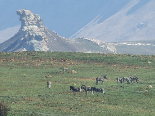 Golden Gate National Park