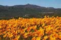 Namaqua National Park