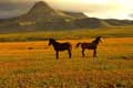 Tankwa Karoo National Park