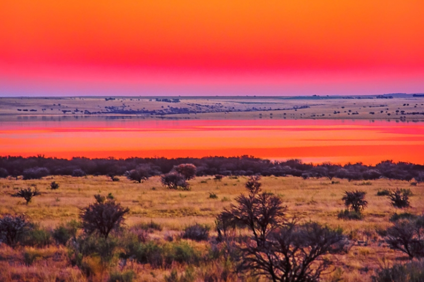 Willem Pretorius Game Reserve