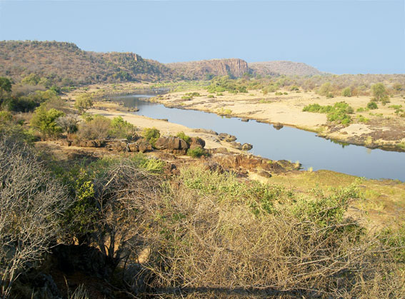 landscape kruger