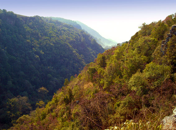 Scenery of Mac Mac Falls