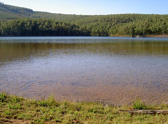 magoebaskloof dam