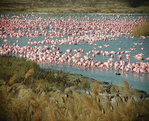 Faan Meintjies Nature Reserve