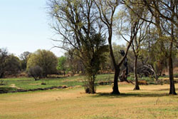 Molemane Eye Nature Reserve