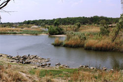 Wolwespruit Nature Reserve